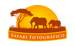 Safari Fotográfico